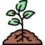 Rootstock Expertise