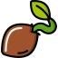 Seeds
