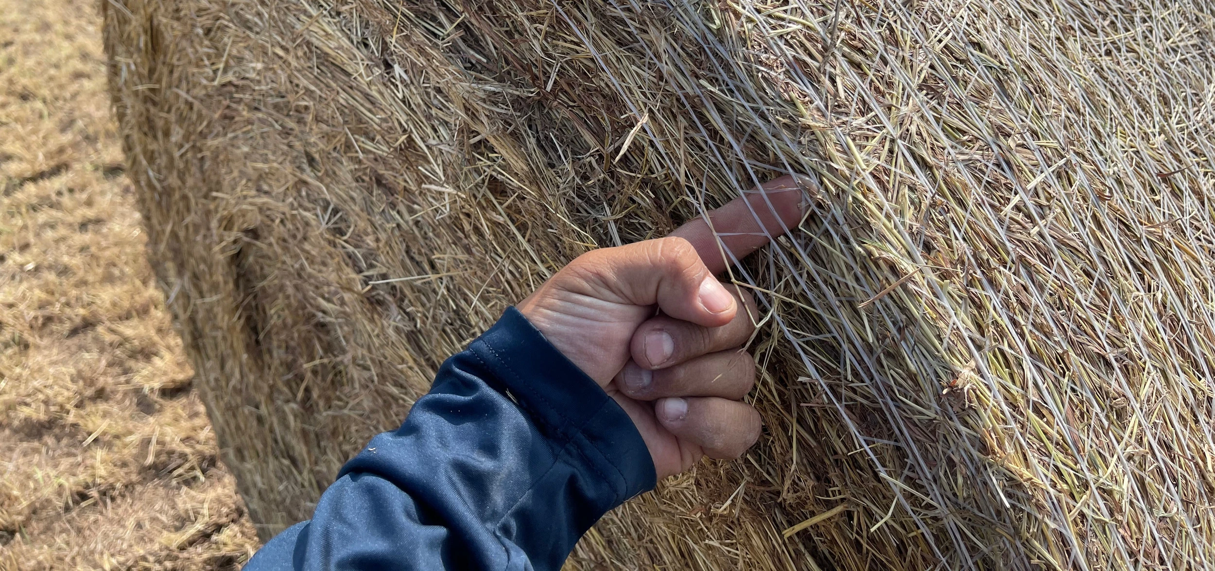 CUSTOM HAY BALING SERVICES CUSTOM HAY BALING SERVICES