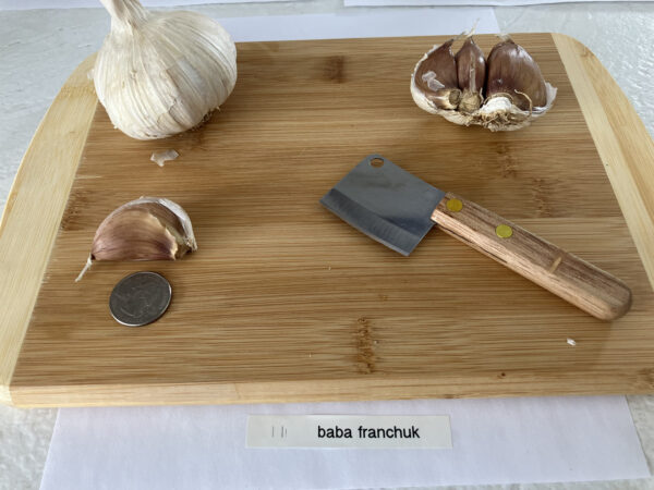 Baba Franchuk's Garlic - Image 2