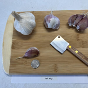 Hot Yugo Garlic