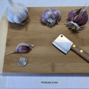 Persian Star