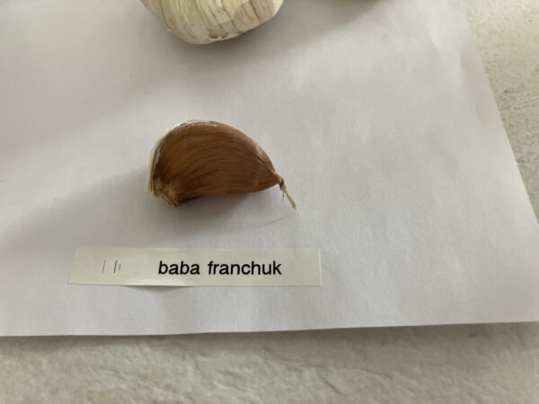 Baba Franchuk's Garlic - Image 3