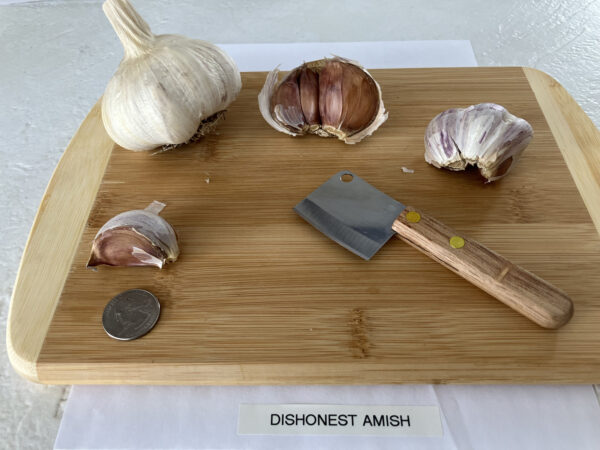 Dishonest Amish - Image 3