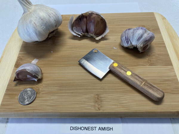 Dishonest Amish - Image 5