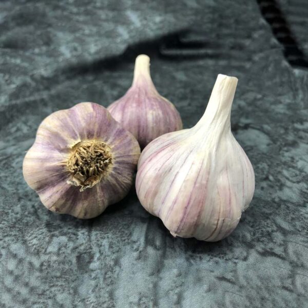 Pehoski Purple Garlic